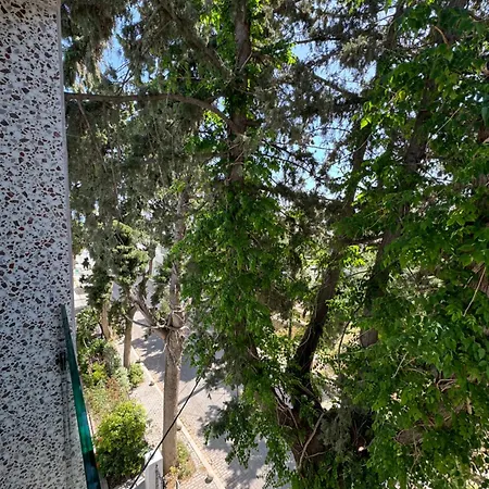αικατερίνη 2*