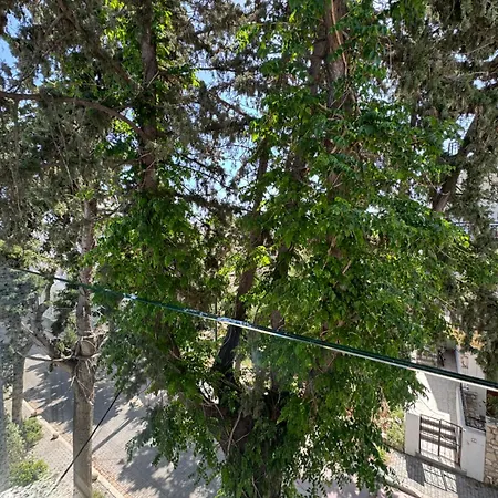 Hotel Catherine Kos Town