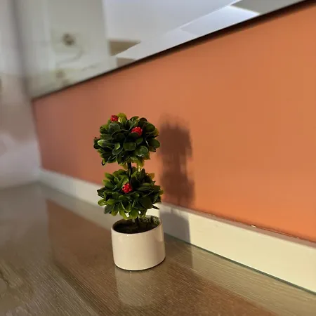 Catherine Hotel Kos Town