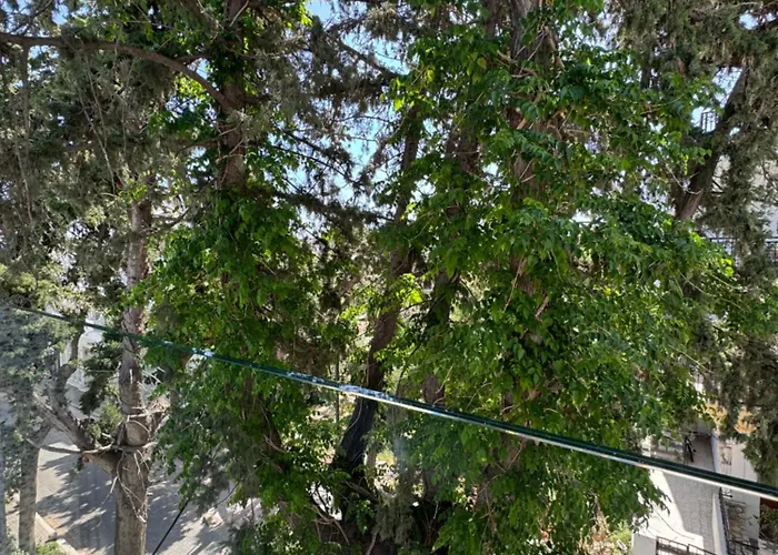 فندق Catherine بلدة كوس